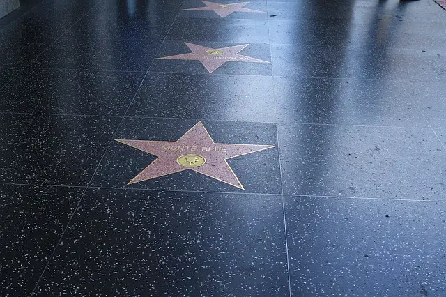Hollywood Walk of Fame - Best Places to Visit in Los Angeles in 2021
